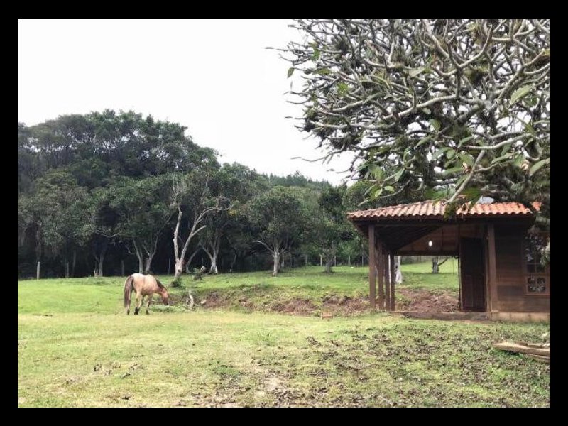 imóvel com 48000m² - Centro - Viamao