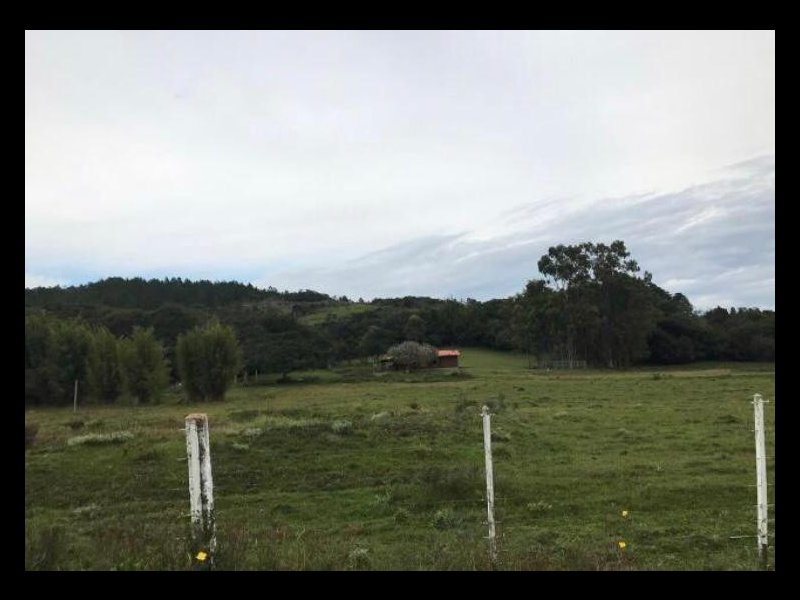 imóvel com 48000m² - Centro - Viamao