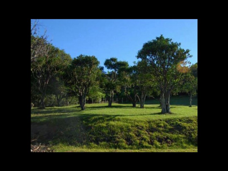 imóvel com 48000m² - Centro - Viamao