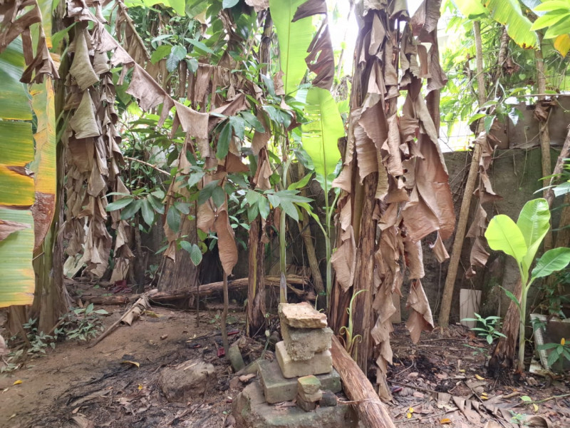 Terreno à venda Fátima com 430m² e 1 quarto por R$ 400.000 - 1193058200-t8.jpg