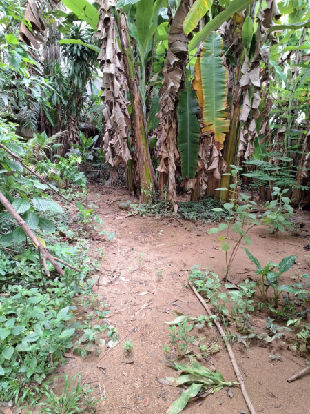 Terreno à venda Fátima com 430m² e 1 quarto por R$ 400.000 - 1562454014-t3.jpg