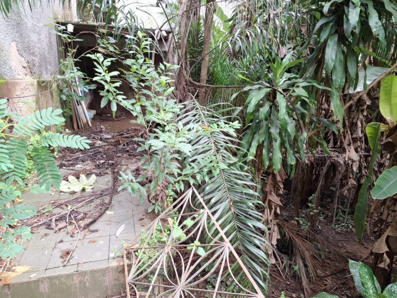 Terreno à venda Fátima com 430m² e 1 quarto por R$ 400.000 - 376038782-t7.jpg