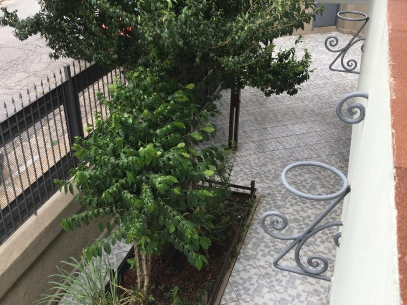 imóvel com 148m² - Casa Verde - São Paulo