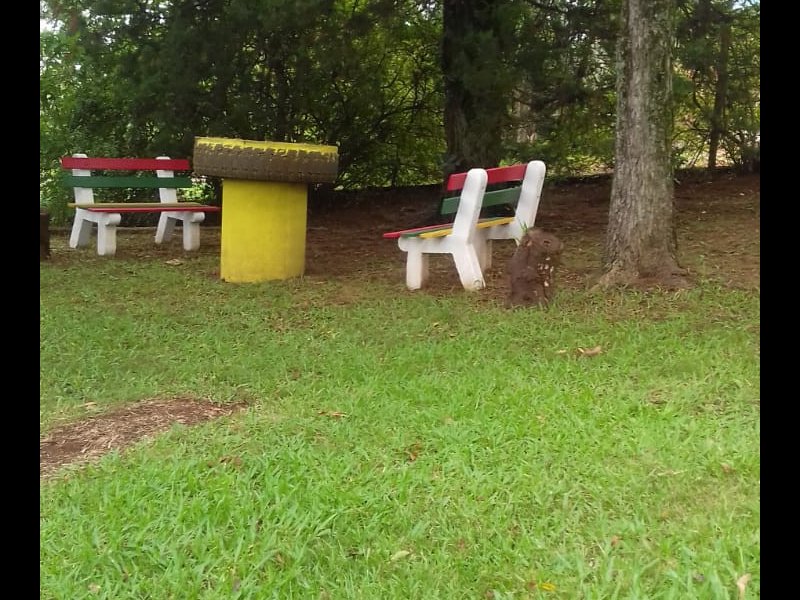 Sítio à venda Centro com 5000m² e 4 quartos por R$ 700.000 - 2137885300-inbound897714725.jpg