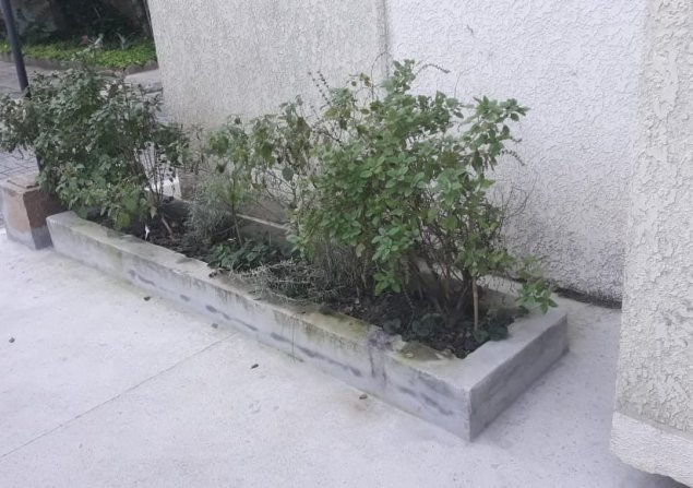 imóvel com 65m²