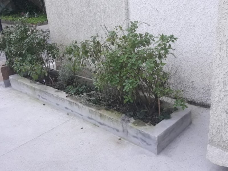 imóvel com 65m² - Trindade - Florianópolis