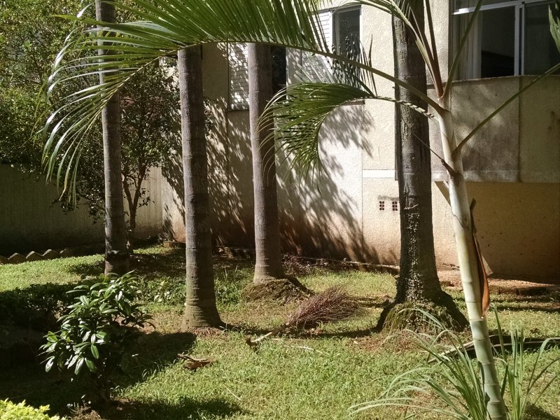 imóvel com 65m² - Trindade - Florianópolis