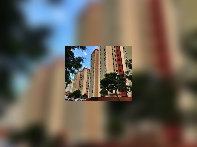 Apartamento à venda Vila Bela Vista (Zona Norte) com 49m² e 2 quartos por R$ 248.000 - 0e1a365034942166207ec15d0d4aed98.jpg