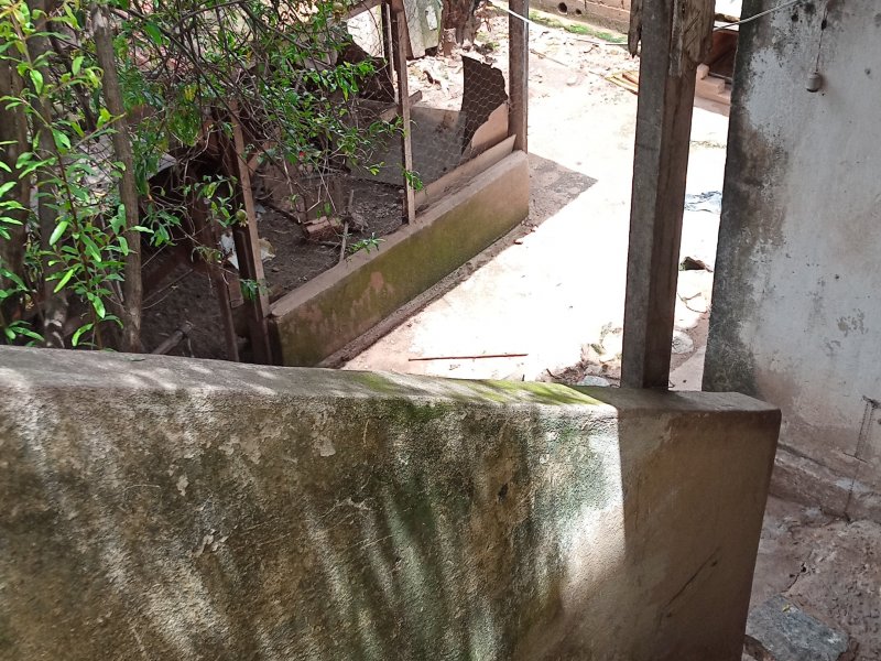 Casa à venda Afonso Pena com 60m² e 3 quartos por R$ 240.000 - 1554634473-img-20210215-wa0036.jpeg