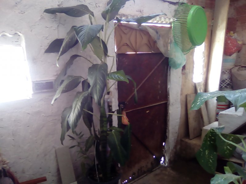 Casa à venda Santa Cruz com 45m² e 1 quarto por R$ 45.000 - 495792289-img-20210107-120137.jpg