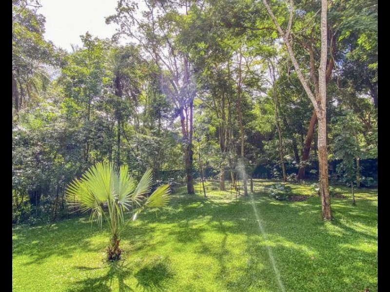 Casa à venda Centro com 12000m² e 5 quartos por R$ 2.500.000 - 231972624-59d3bf6f-2855-4cad-a085-9ae7e13aff3e.jpeg