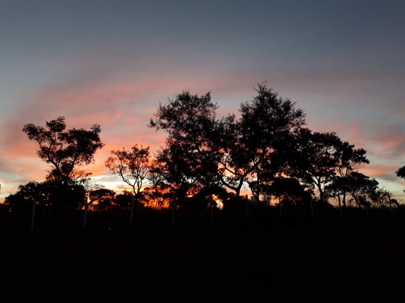 Casa de condomínio à venda Centro com 323m² e 4 quartos por R$ 1.100.000 - 176761468-20190519-173649.jpg