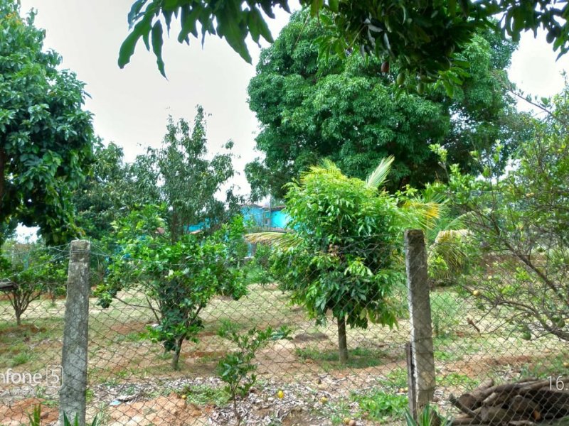 Sítio à venda Andiroba com 4000m² e 6 quartos por R$ 700.000 - 1727143487-whatsapp-image-2021-02-03-at-21.jpeg