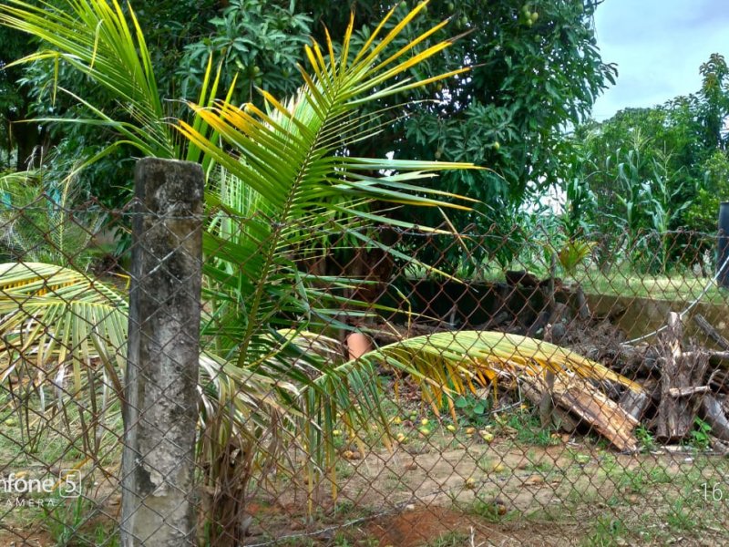 Sítio à venda Andiroba com 4000m² e 6 quartos por R$ 700.000 - 52356781-whatsapp-image-2021-02-03-at-21.jpeg