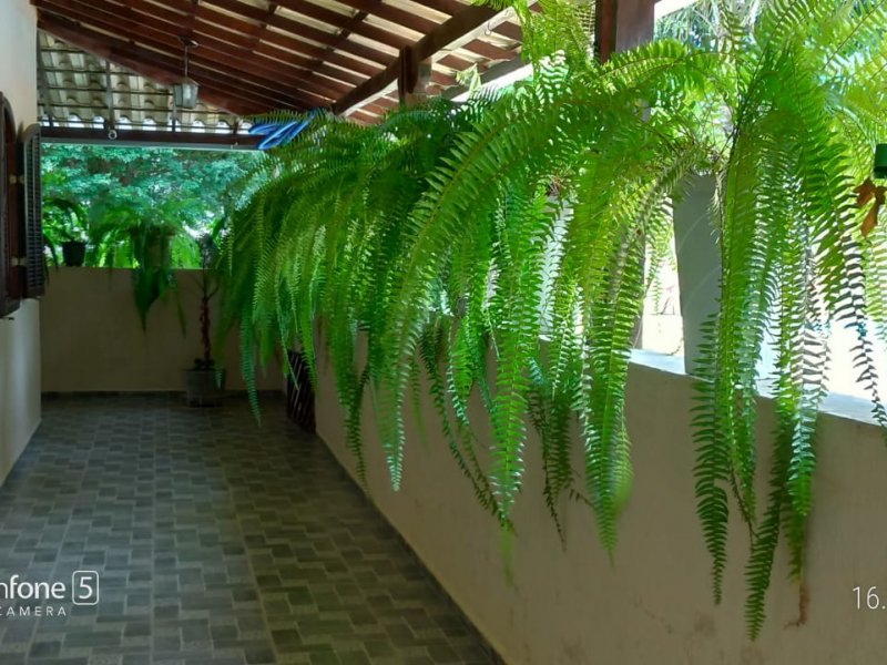 Sítio à venda Andiroba com 4000m² e 6 quartos por R$ 700.000 - 601598440-whatsapp-image-2021-02-03-at-21.jpeg