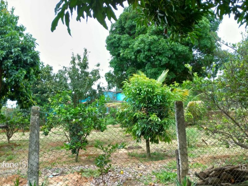 Sítio à venda Andiroba com 4000m² e 6 quartos por R$ 700.000 - 988901185-whatsapp-image-2021-02-03-at-21.jpeg