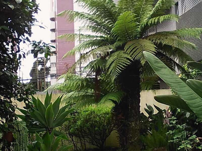 Apartamento à venda Bigorrilho com 108m² e 3 quartos por R$ 768.000 - 1832723763-img-20210122-wa0009.jpg