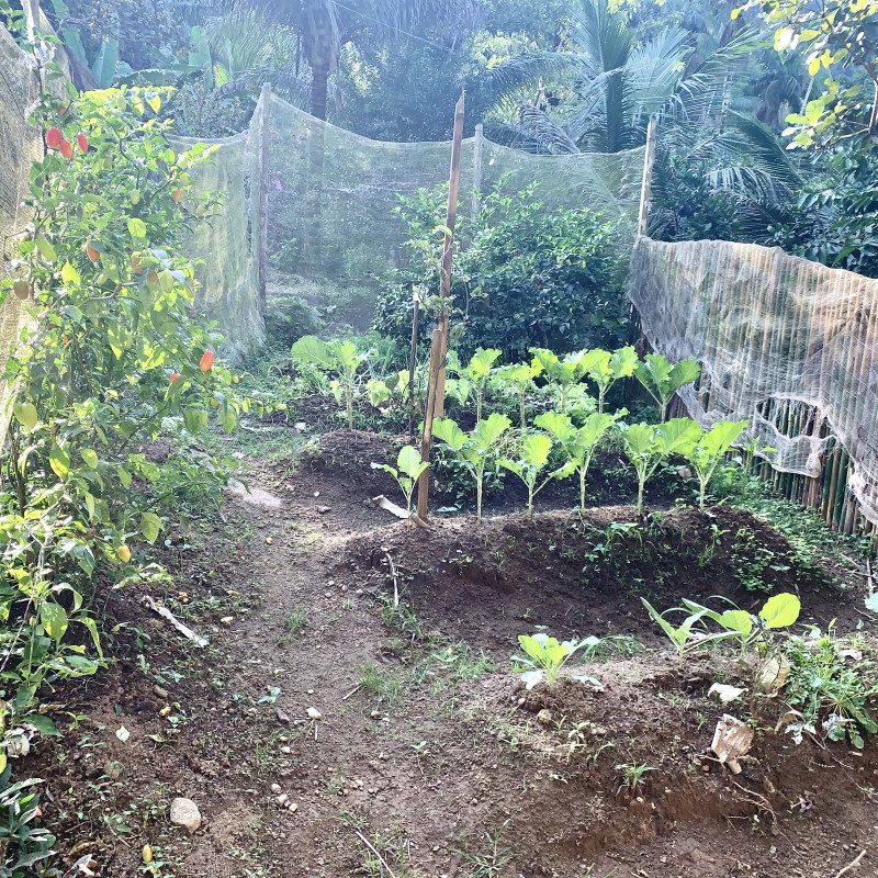 Sítio à venda Centro com 6000m² e 2 quartos por R$ 300.000 - 1314086701-92a0a248-7820-49b6-aeb9-20c95416657c.jpeg