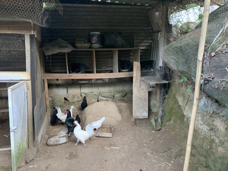 Sítio à venda Centro com 6000m² e 2 quartos por R$ 300.000 - 1353263196-55931614-ead0-4f83-8395-ebab1a468c9c.jpeg