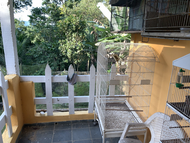 Sítio à venda Centro com 6000m² e 2 quartos por R$ 300.000 - 1384429694-bf0a5818-7e88-4b48-bd00-3393e33b1fa8.jpeg