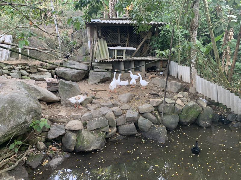 Sítio à venda Centro com 6000m² e 2 quartos por R$ 300.000 - 1509026040-2356bd6c-a9a8-4df7-8e4d-030785dcb3b7.jpeg