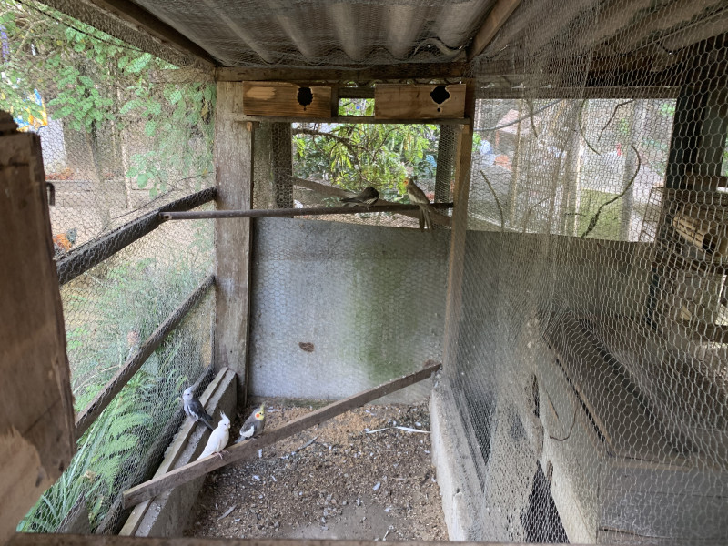 Sítio à venda Centro com 6000m² e 2 quartos por R$ 300.000 - 155256429-9e7a9f7e-0aed-412a-ba4a-9fda069972d4.jpeg