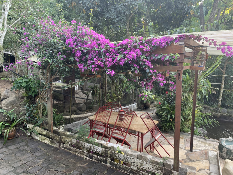 Sítio à venda Centro com 6000m² e 2 quartos por R$ 300.000 - 1593797735-9bed8575-8b94-45c9-a257-71e44f7c0a08.jpeg