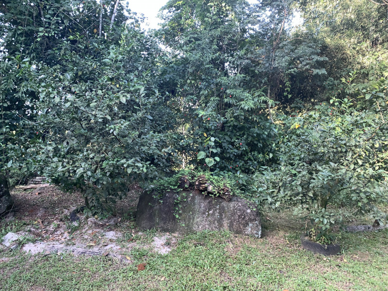 Sítio à venda Centro com 6000m² e 2 quartos por R$ 300.000 - 1781101633-d1728f70-741f-4634-b659-a3c7477249ba.jpeg