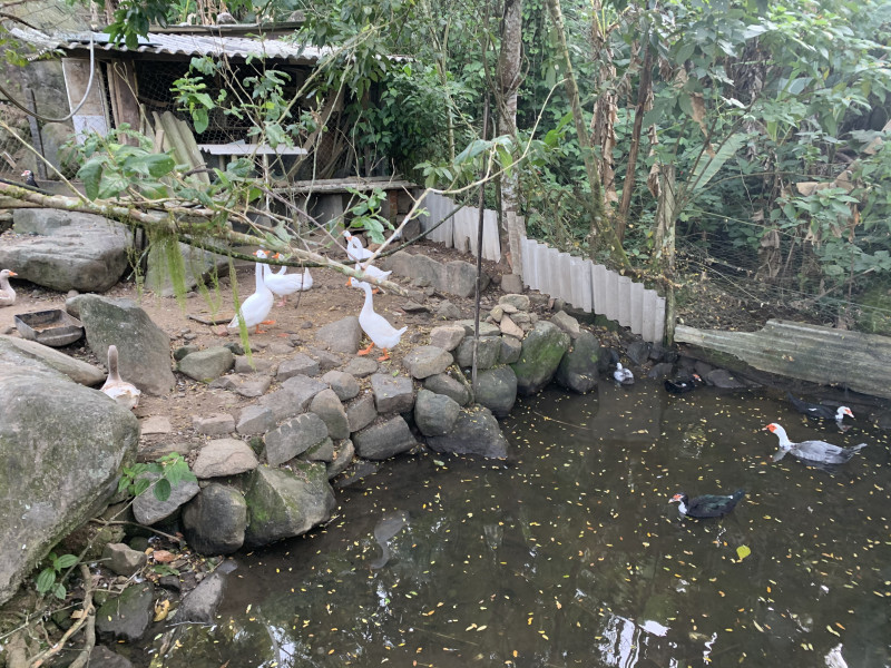 Sítio à venda Centro com 6000m² e 2 quartos por R$ 300.000 - 1791572948-44ebe124-6905-4c23-beb2-54930d4bf41d.jpeg