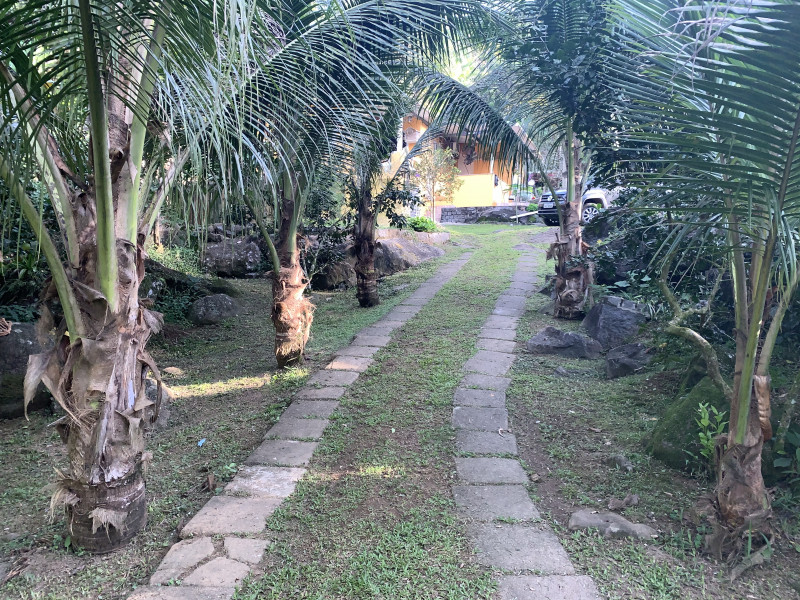 Sítio à venda Centro com 6000m² e 2 quartos por R$ 300.000 - 333465149-f6740428-e0cd-48cd-8aa2-eaed879c4cb1.jpeg