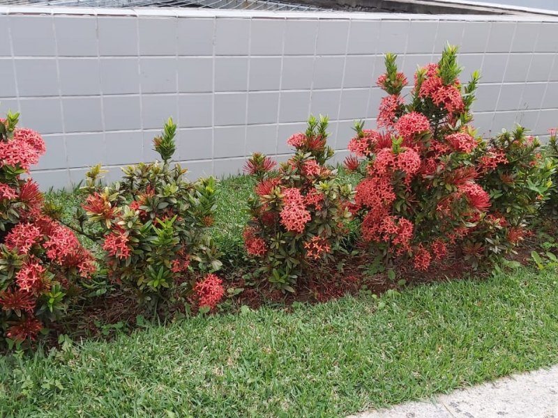 Apartamento à venda ÁGUAS CLARAS SUL com 101m² e 3 quartos por R$ 690.000 - 506486670-whatsapp-image-2021-04-18-at-19.jpeg