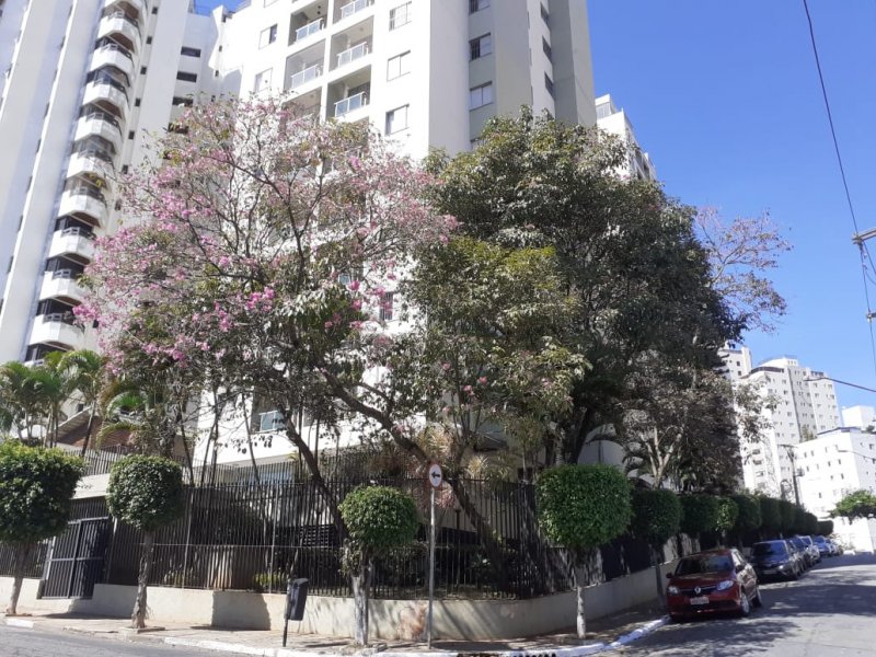 Apartamento à venda Vila da Saúde com 55m² e 2 quartos por R$ 450.000 - 908375846-whatsapp-image-2021-05-04-at-11.jpeg
