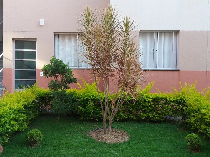 Apartamento à venda Vila Urupês com 53m² e 2 quartos por R$ 190.000 - 1160434797-20210410-164919.jpg