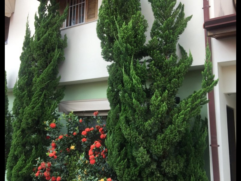 Casa de condomínio à venda Jardim Santa Maria com 110m² e 3 quartos por R$ 395.000 - 2140726541-img-1911.JPG