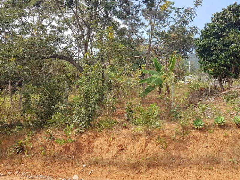 Terreno à venda Centro com 720m² e 1 quarto por R$ 89.000 - 1181958176-whatsapp-image-2021-06-01-at-7.jpeg