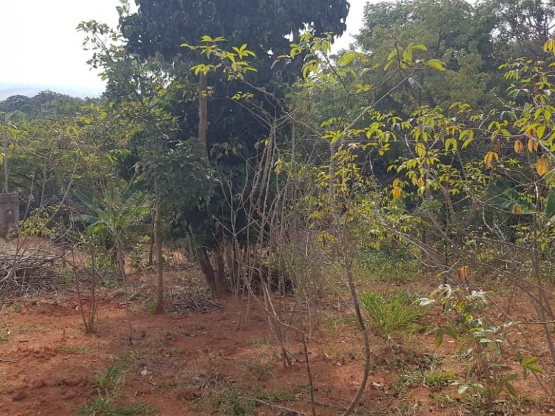 Terreno à venda Centro com 720m² e 1 quarto por R$ 89.000 - 1548255719-whatsapp-image-2021-06-01-at-7.jpeg