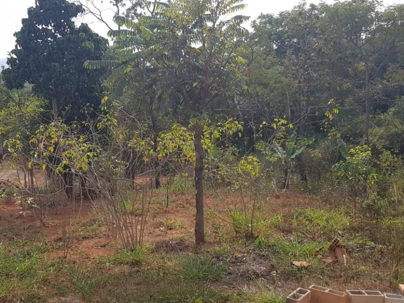 Terreno à venda Centro com 720m² e 1 quarto por R$ 89.000 - 652820251-whatsapp-image-2021-06-01-at-7.jpeg