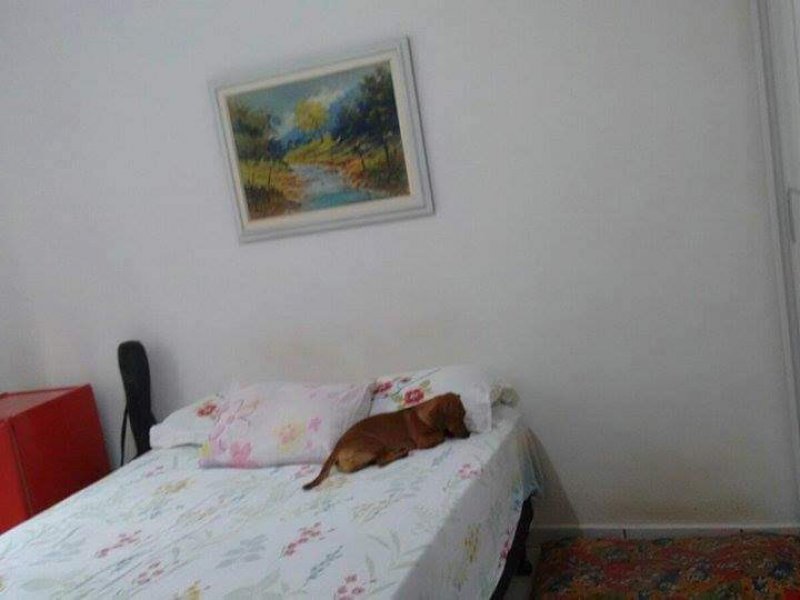 Casa à venda Marapé com 120m² e 2 quartos por R$ 460.000 - 716627291-received-682056551941525.jpeg
