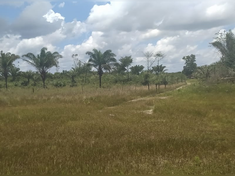 Terreno à venda Centro com 1544853m² e 1 quarto por R$ 130.000 - img-20210404-wa0050.jpg