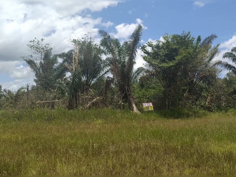 Terreno à venda Centro com 1544853m² e 1 quarto por R$ 130.000 - img-20210404-wa0054.jpg