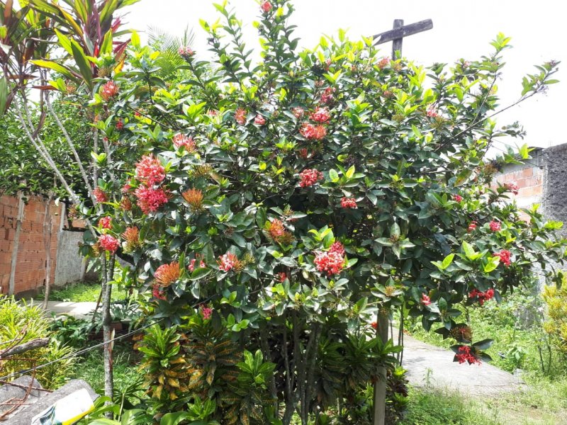 Casa à venda Chácaras Rio-Petrópolis com 546m² e 2 quartos por R$ 380.000 - 2029766612-img-20191012-wa0008.jpg