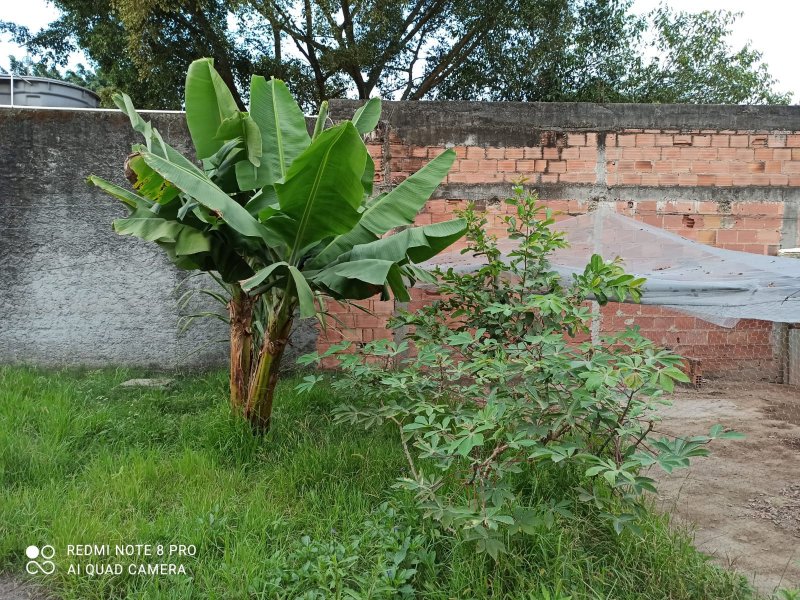 Casa à venda Chácaras Rio-Petrópolis com 546m² e 2 quartos por R$ 380.000 - 2135614672-indice7.jpg