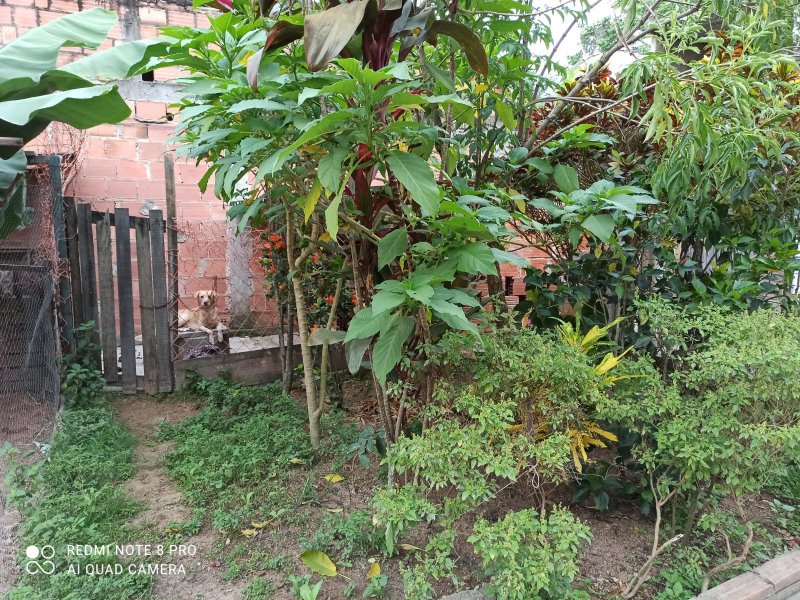 Casa à venda Chácaras Rio-Petrópolis com 546m² e 2 quartos por R$ 380.000 - 277226117-indice10.jpg