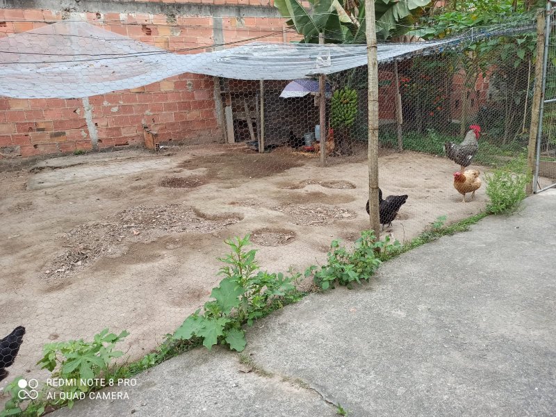 Casa à venda Chácaras Rio-Petrópolis com 546m² e 2 quartos por R$ 380.000 - 527355482-indice8.jpg