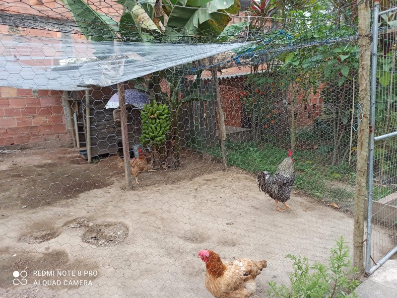 Casa à venda Chácaras Rio-Petrópolis com 546m² e 2 quartos por R$ 380.000 - 76429267-indice9.jpg