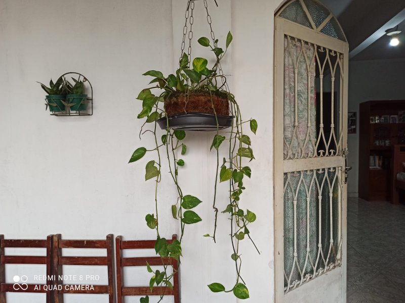 Casa à venda Chácaras Rio-Petrópolis com 546m² e 2 quartos por R$ 380.000 - 974578460-indice16.jpg