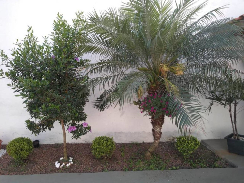 imóvel com 140m² - Jardim Helena - São Paulo