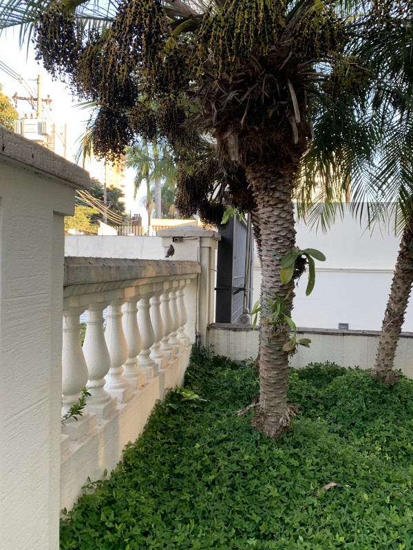 Apartamento à venda Alto de Pinheiros com 59m² e 2 quartos por R$ 900.000 - 1842486948-37690778-2056-4ff0-9d4c-c57b86ff69cc.jpeg