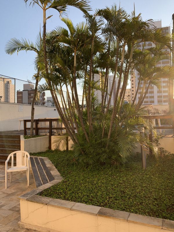 Apartamento à venda Alto de Pinheiros com 59m² e 2 quartos por R$ 900.000 - 2056190645-3de656a9-439f-46ae-8a66-a6350a2b2735.jpeg