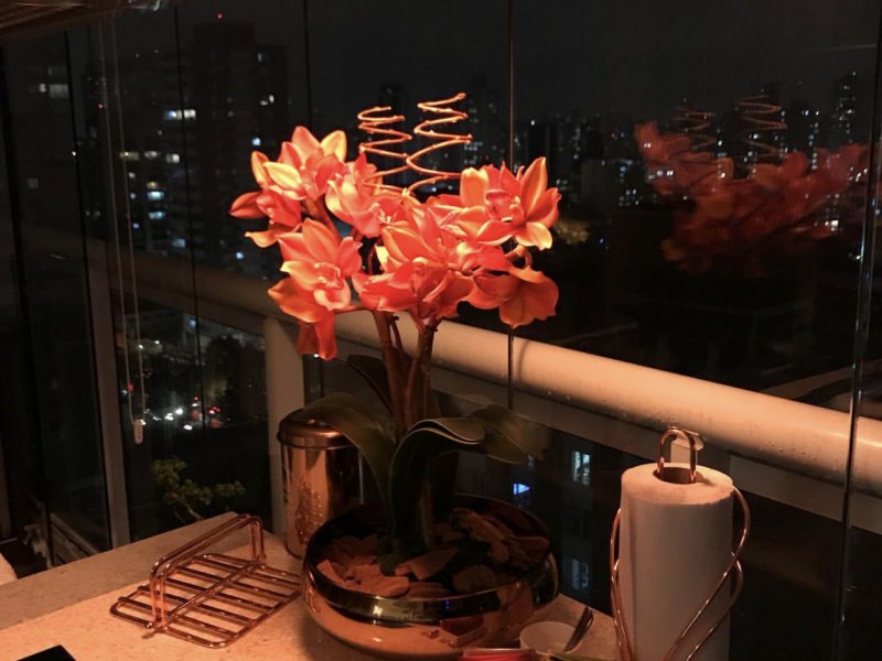 Apartamento à venda Vila Mariana com 38m² e 1 quarto por R$ 740.000 - 343585579-ffc87fbe-f7e5-46e9-b39b-7780f54d5464.jpeg